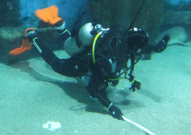 Aquarium diver at Melbourne Aquarium